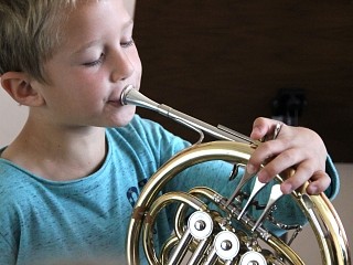 Horn