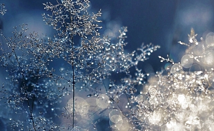 Winterbühne, 27.01.2026, 18.30 Uhr